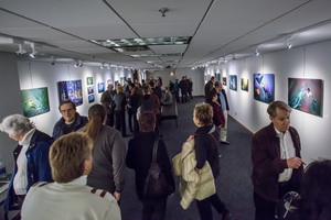 Lighting Bug Exhibit - Tulsa, Oklahoma, 2015