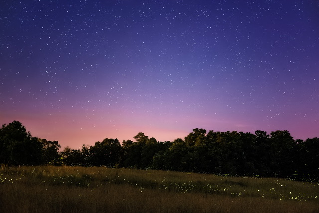 Fireflies and Stars, As above so Below