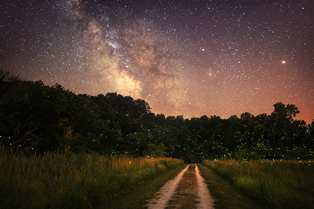 Fireflies and Milky Way with Stars